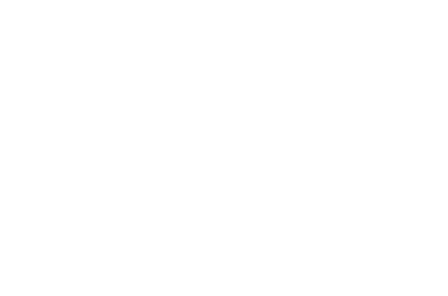 The Australian Open