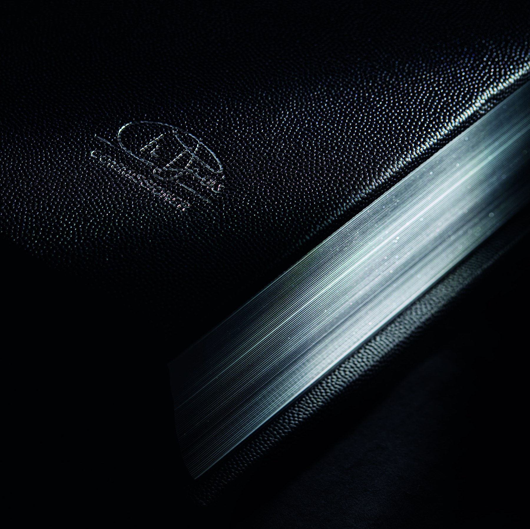 The Raiders Opus sterling silver spine detail